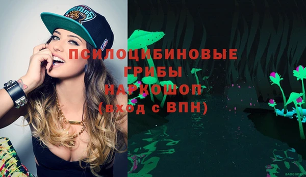прущая мука Гусиноозёрск