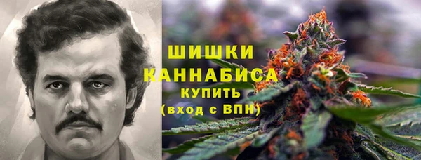 прущая мука Гусиноозёрск