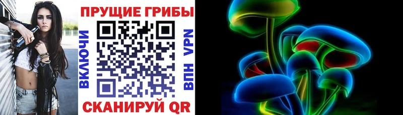 Галлюциногенные грибы мицелий Лахденпохья