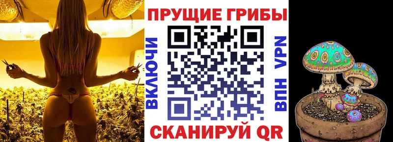 Галлюциногенные грибы MAGIC MUSHROOMS  цена наркотик  Лахденпохья 