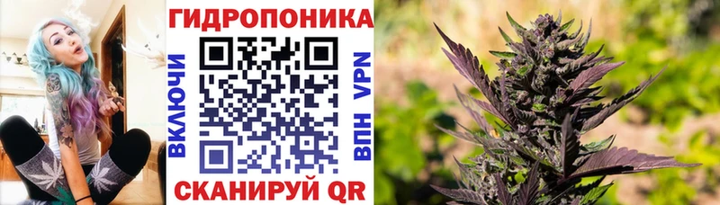 как найти закладки  Лахденпохья  МАРИХУАНА VHQ 